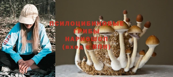 кокаин Белокуриха